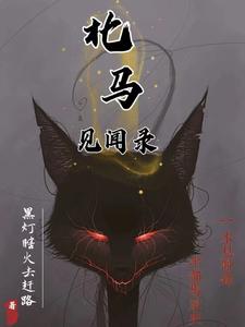 北马见闻录 cover