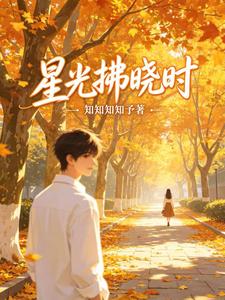 星光拂晓时 cover