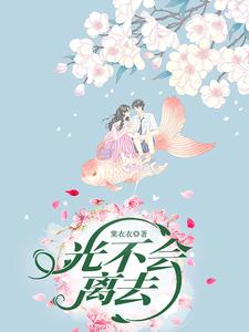 光不会离去 cover