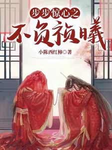步步惊心之不负祯曦 cover