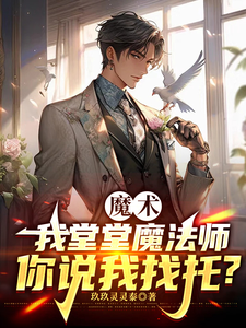 我堂堂魔法师,你说我找托? cover
