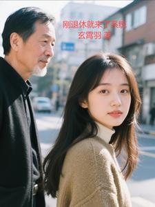 刚退休就来了系统 cover