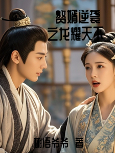 赘婿逆袭之龙耀天下 cover