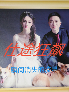 仕途狂飙 cover