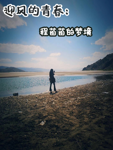 迎风的青春：程苗苗的梦境 cover