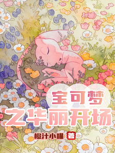 宝可梦之华丽开场 cover