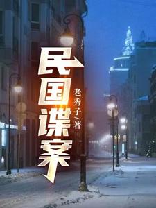 民国谍案 cover