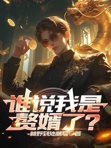 谁说我是赘婿了? cover