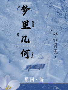 梦里几何 cover