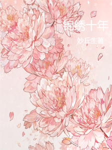 锦绣十年 cover