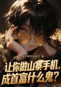 让你做山寨手机，成首富什么鬼？ cover