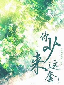 你少来这套！ cover