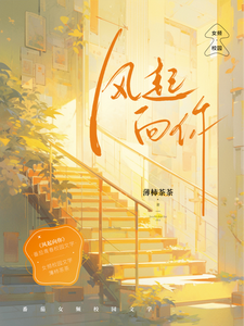 风起向你 cover