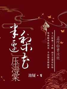 半边梨花压海棠 cover