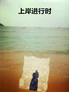 上岸进行时 cover