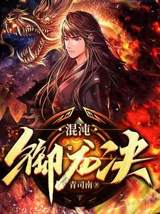 混沌御龙诀 cover