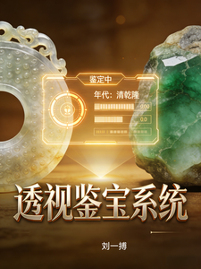 透视鉴宝系统 cover