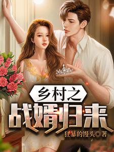 乡村之战婿归来 cover
