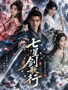 七星剑歌行 cover