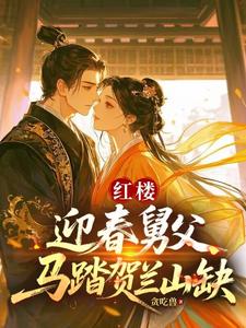 红楼：迎春舅父，马踏贺兰山缺 cover