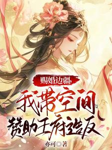 赐婚边疆，我带空间赞助王府造反 cover