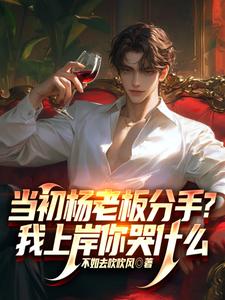 当初杨老板分手?我上岸你哭什么 cover