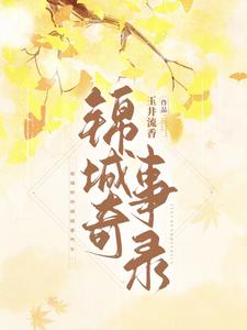 锦城奇事录 cover