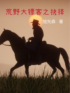 荒野大镖客之抉择 cover