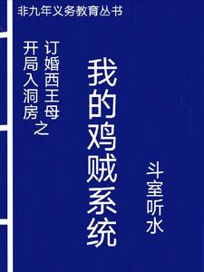 我的鸡贼系统 cover