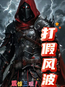 打假风波 cover