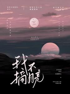 我不摘月亮 cover