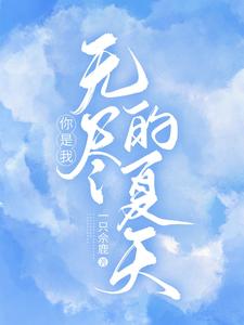 你是我无尽的夏天 cover