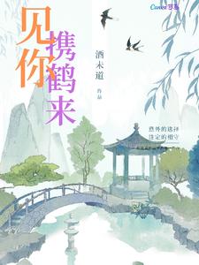 见你携鹤来 cover