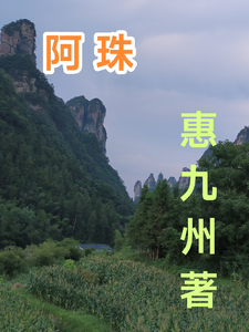 惠九州的 cover