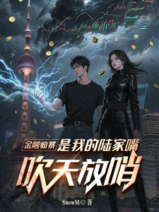 金融疯暴，是我的陆家嘴吹天放哨 cover
