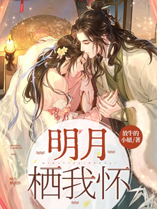 明月栖我怀 cover