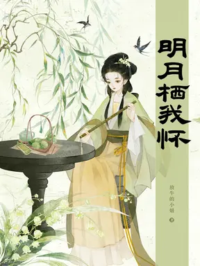 明月栖我怀
