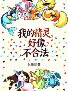My Pokémon Seems Illegal cover