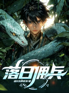 Fallen Sun Mercenaries cover
