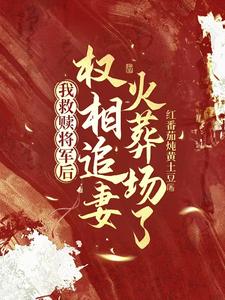 我救赎将军后，权相追妻火葬场了 cover
