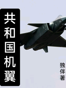 共和国机翼 cover