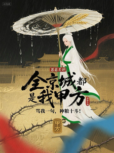 全京城都是我甲方 cover