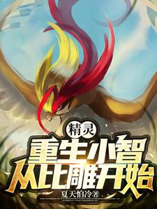 精灵:重生小智从比雕开始 cover