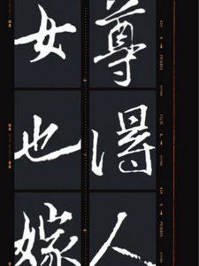 女尊也得嫁人 cover