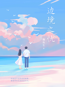边境之忧 cover