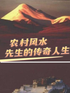 农村风水先生的传奇人生 cover