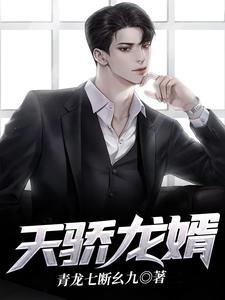 天骄龙婿 cover