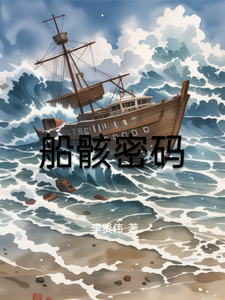 船骸密码 cover