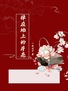 掉在地上的月亮 cover