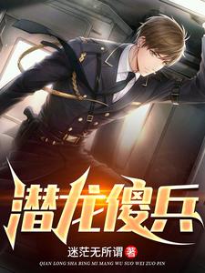 潜龙傻兵 cover